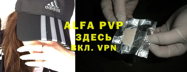 ГАЛЛЮЦИНОГЕННЫЕ ГРИБЫ Вяземский