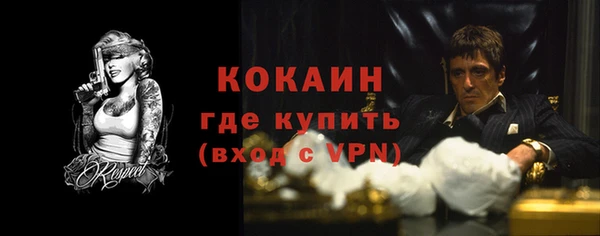 ГАЛЛЮЦИНОГЕННЫЕ ГРИБЫ Вяземский