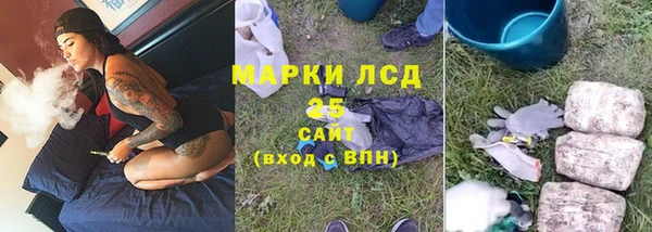 ГАЛЛЮЦИНОГЕННЫЕ ГРИБЫ Вяземский