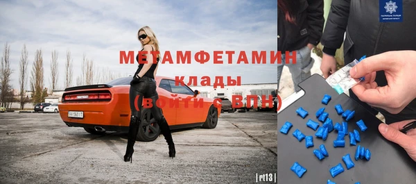 ГАЛЛЮЦИНОГЕННЫЕ ГРИБЫ Вяземский