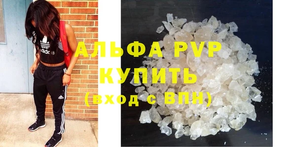 ГАЛЛЮЦИНОГЕННЫЕ ГРИБЫ Вяземский
